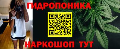 прущие крисы Краснодар