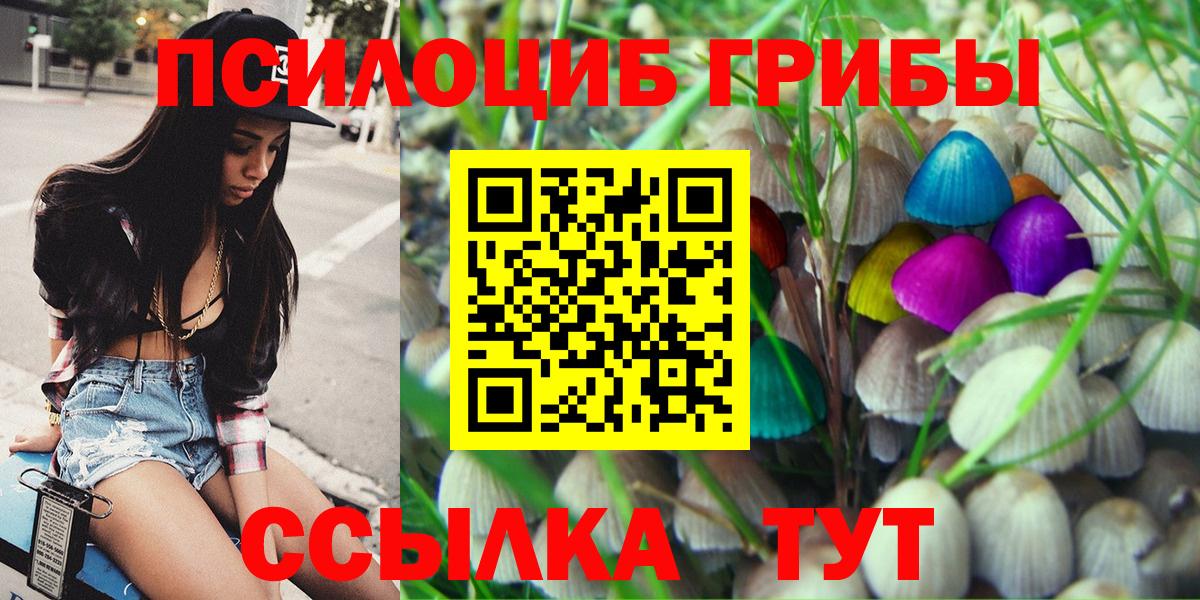 Псилоцибиновые грибы Cubensis Электросталь